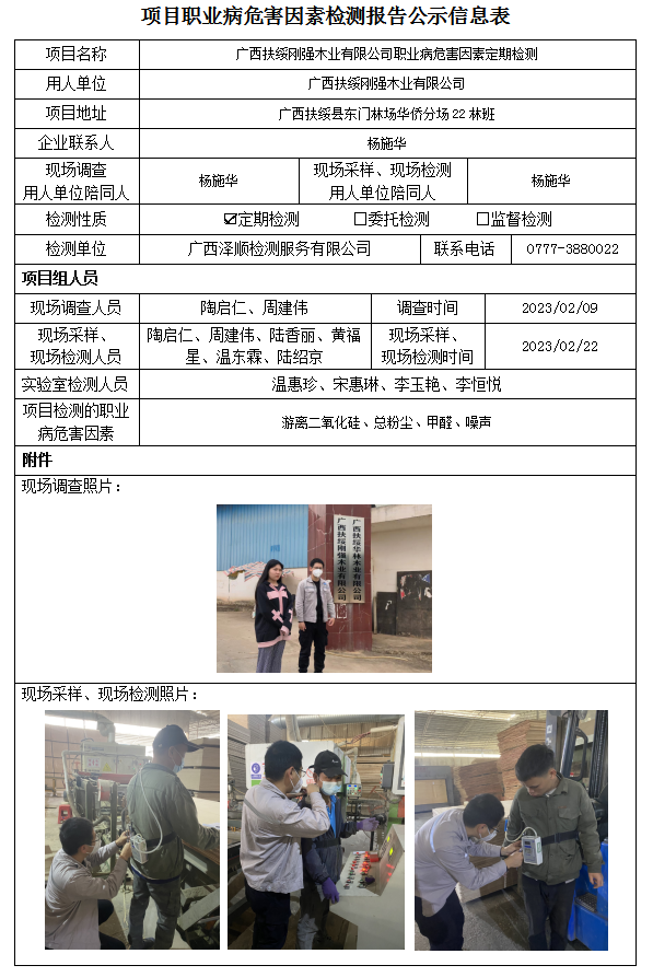WS2022399广西扶绥刚烈木业有限公司职业病风险成分定期检测.png
