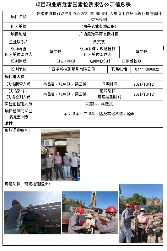WS2021207平南县武林港盛造船厂工作场所职业病风险成分委托检测.PNG