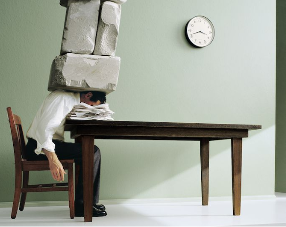 ְҵ��ȫ�����ж�����