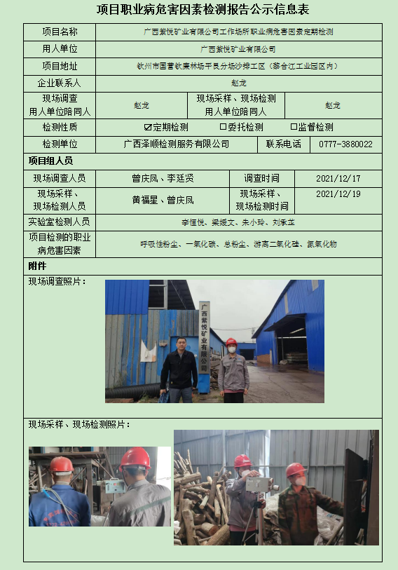 WS2021417广西紫悦矿业有限公司定期检测.jpg